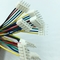 JST 5P SCN Housing Cable Assembly Customizable Electronic Wire Harness Cable Assembly 20 Years Experience